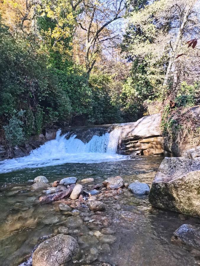 Casa Rural Parada Real ガルガンタ・ラ・オジャ エクステリア 写真