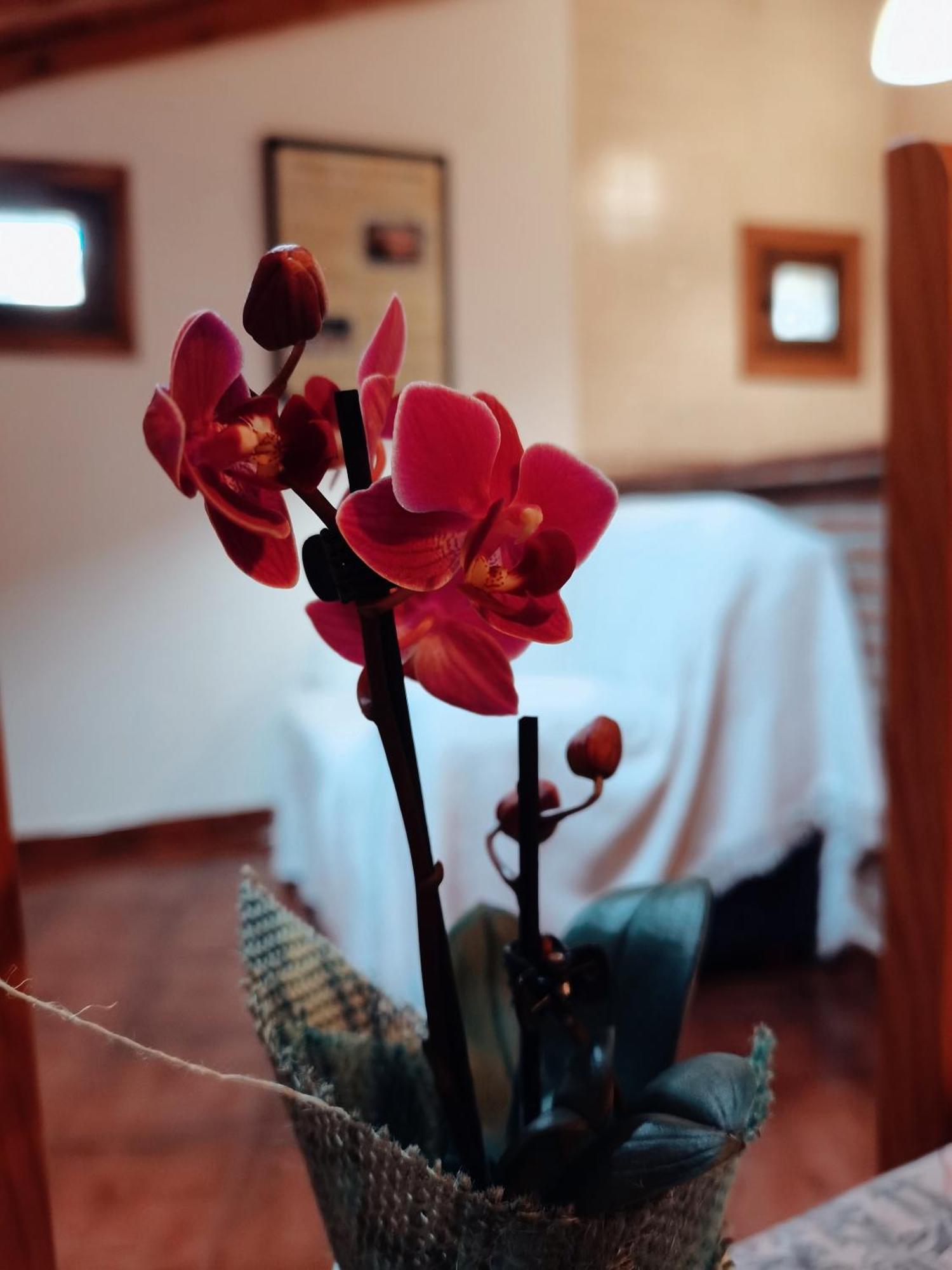 Casa Rural Parada Real ガルガンタ・ラ・オジャ エクステリア 写真