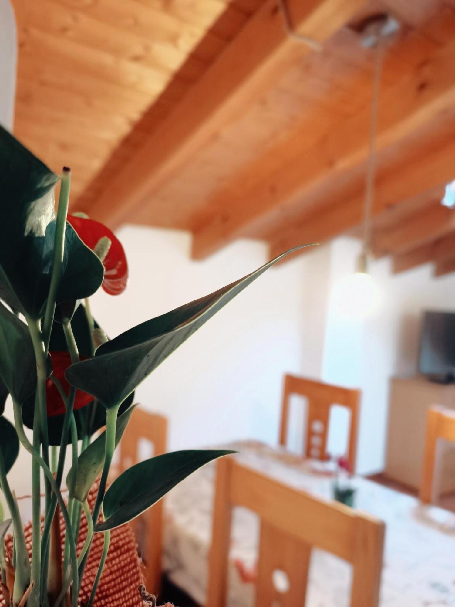 Casa Rural Parada Real ガルガンタ・ラ・オジャ エクステリア 写真