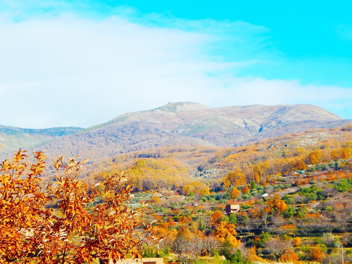 Casa Rural Parada Real ガルガンタ・ラ・オジャ エクステリア 写真